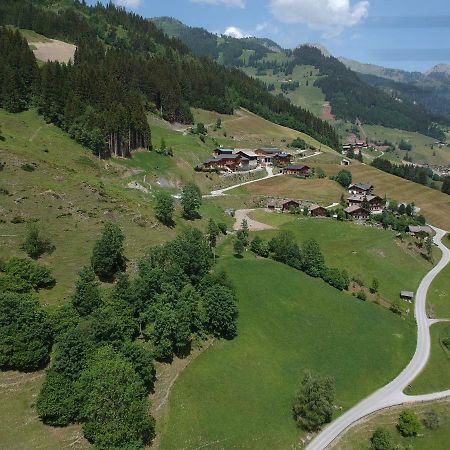 Appartmenthof Aigengut Ferienwohnung Grossarl Exteriör bild