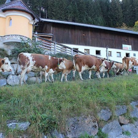 Appartmenthof Aigengut Ferienwohnung Grossarl Exteriör bild