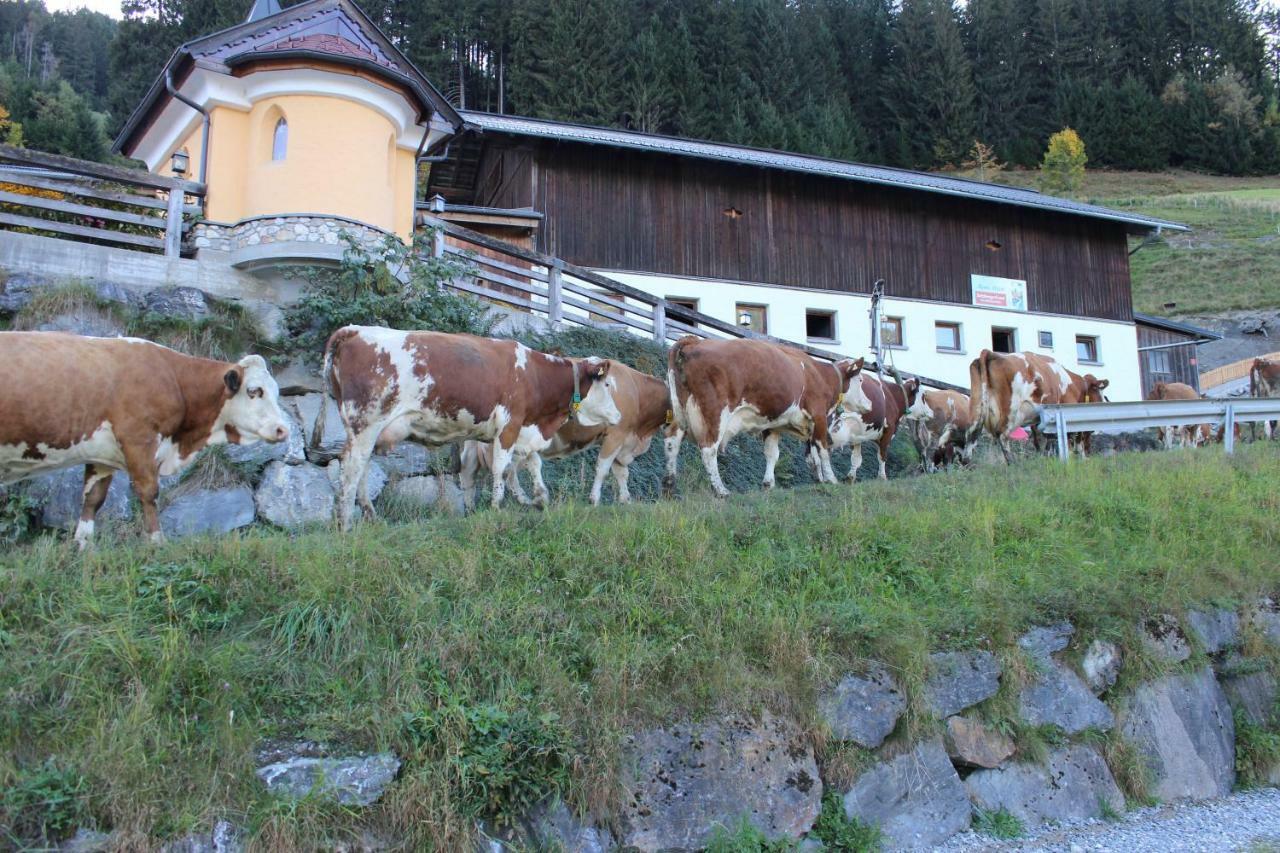 Appartmenthof Aigengut Ferienwohnung Grossarl Exteriör bild